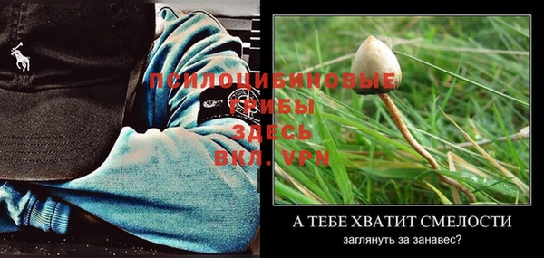 ешки Балабаново